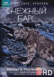 BBC: Снежный барс: Мифы и реальности / Natural World: Snow Leopard - Beyond the Myth