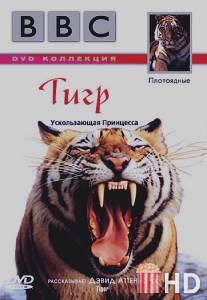 BBC: Тигр / Tiger