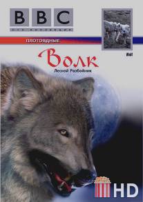 BBC: Волк / Wolf