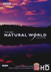 BBC: Живой мир / Natural World, The
