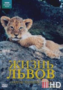 BBC: Жизнь львов / Lions: Spy in the Den