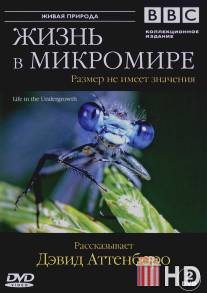 BBC: Жизнь в микромире / Life in the Undergrowth