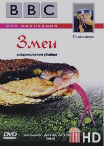 BBC: Змеи / Wildlife Special. Serpent