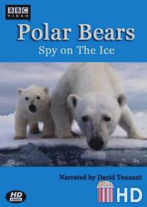 Белый медведь: Шпион во льдах / Polar Bears: Spy on the Ice