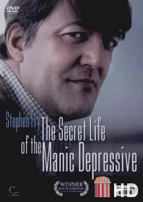 Безумная депрессия со Стивеном Фраем / Stephen Fry: The Secret Life of the Manic Depressive