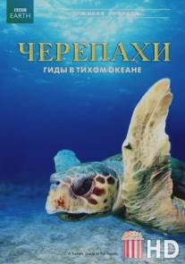 Черепахи: Гиды в Тихом океане / A Turtle's Guide to the Pacific