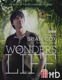 Чудеса жизни / Wonders of Life