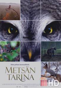Чудесный лес / Metsan tarina