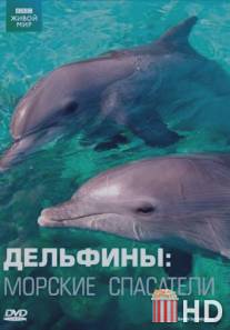 Дельфины: Морские спасатели / Saved by Dolphins