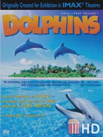 Дельфины / Dolphins