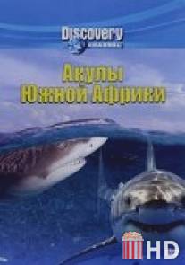 Discovery: Акулы Южной Африки / Air Jaws: Sharks of South Africa