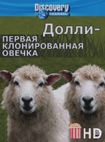 Discovery: Долли - первая клонированная овечка / Dolly: The First Cloned Sheep