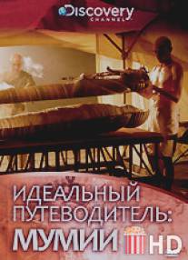 Discovery: Идеальный путеводитель. Мумии / Ultimate Guide: Mummies