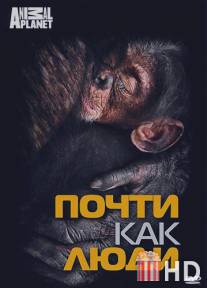 Discovery: Почти как люди / Almost Human with Jane Goodall
