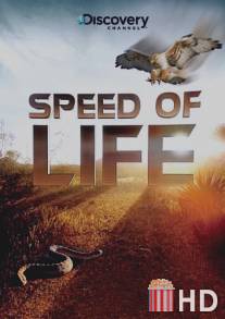Discovery: Скорость жизни / Speed of Life