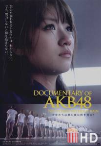 Documentary of AKB48: No Flower Without Rain