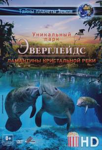 Эверглейдс 3D: Ламантины Кристальной реки / Adventure Everglades 3D: The Manatees of Crystal River