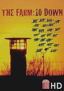 Ферма: 10 лет спустя / Farm: 10 Down, The