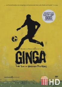 Финт / Ginga