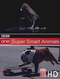 Гении из царства животных / Super Smart Animals