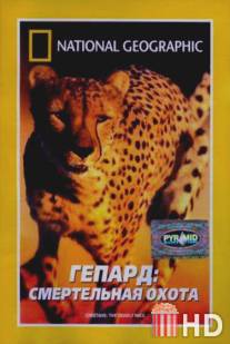 Гепард: Смертельная охота / Cheetahs: The Deadly Race