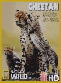 Гепарды - наперекор всему / Cheetah - Against All Odds