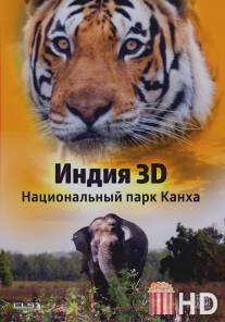 Индия 3D: Национальный парк Канха / India 3D: Kanha National Park