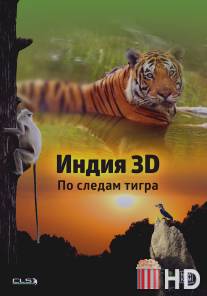 Индия 3D: По следам тигра