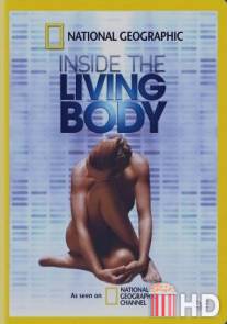 Inside the Living Body