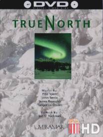 Истинный север / True North