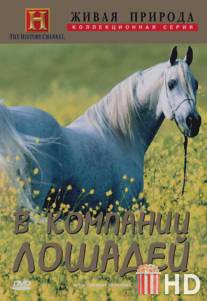 Исторические исследования: В компании лошадей / Special presentation: In the Company of Horses