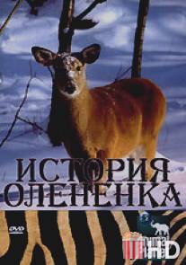 История олененка / The Littlest Reindeer