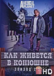 Как живется в конюшне / A Stable Life
