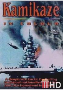 Камикадзе в цвете / Kamikaze In Colour