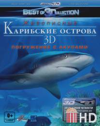 Карибские острова 3D: Погружение с акулами / Adventure Carribean 3D: Diving With Sharks