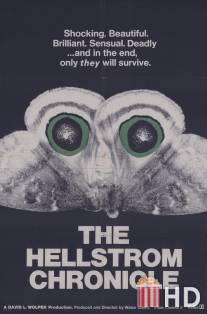 Хроники Хельстрома / Hellstrom Chronicle, The