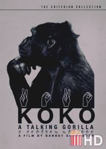 Коко, говорящая горилла / Koko, le gorille qui parle