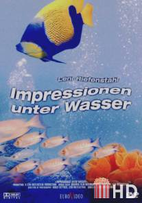 Коралловый рай / Impressionen unter Wasser