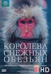 Королева снежных обезьян / Snow Monkeys - Who's Hot and Who's Not