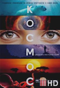 Космос: Пространство и время / Cosmos: A SpaceTime Odyssey