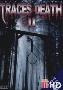 Лики смерти 2 / Traces of Death II