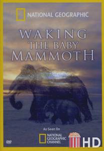 Мамонтёнок: Застывший во времени / Waking the Baby Mammoth