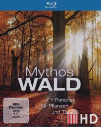 Мифы леса / Mythos Wald