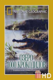 НГО: Озеро 1000 крокодилов / Lake of a Thousand Caiman