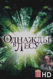 Однажды в лесу / Once in the Forest