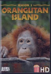 Остров орангутанов / Orangutan Island