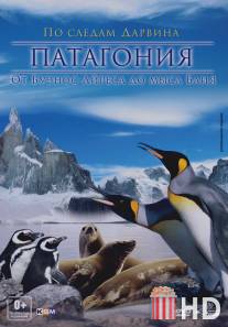 Патагония: По следам Дарвина 3D / Patagonien 3D