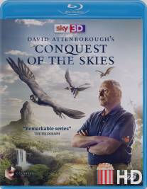 Покорение неба 3D / Conquest of the Skies 3D