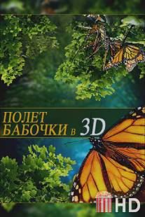 Полет бабочки 3D / Flight of the Monarch Butterfly 3D