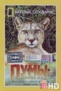 Пумы: Львы Анд / Puma: Lion of the Andes